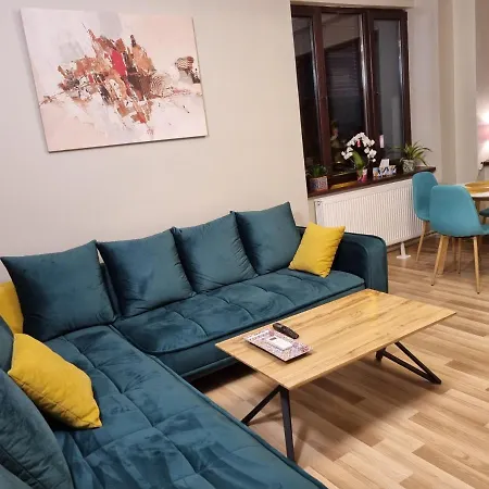 Premium * Timisoara