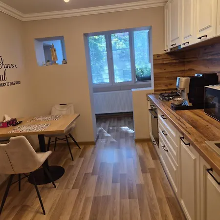 Apartmán Premium Temešvár