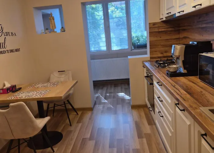 Apartamento Premium Timişoara